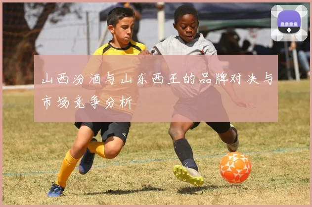 山西汾酒与山东西王的品牌对决与市场竞争分析