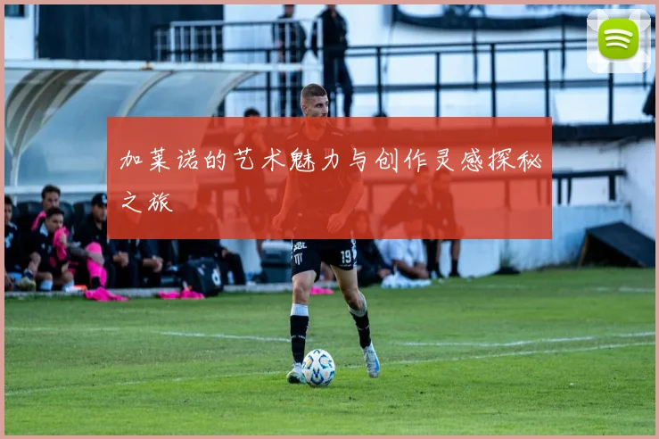 加莱诺的艺术魅力与创作灵感探秘之旅