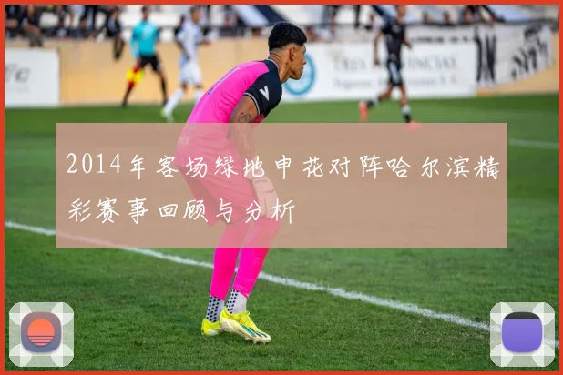 2014年客场绿地申花对阵哈尔滨精彩赛事回顾与分析