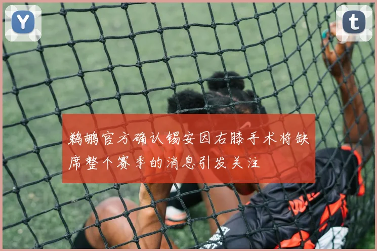 鹈鹕官方确认锡安因右膝手术将缺席整个赛季的消息引发关注