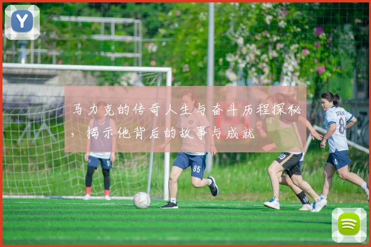 马力克的传奇人生与奋斗历程探秘，揭示他背后的故事与成就