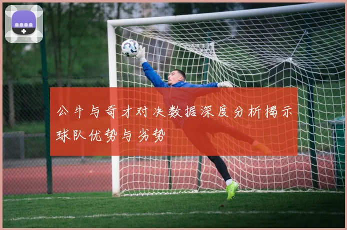 公牛与奇才对决数据深度分析揭示球队优势与劣势