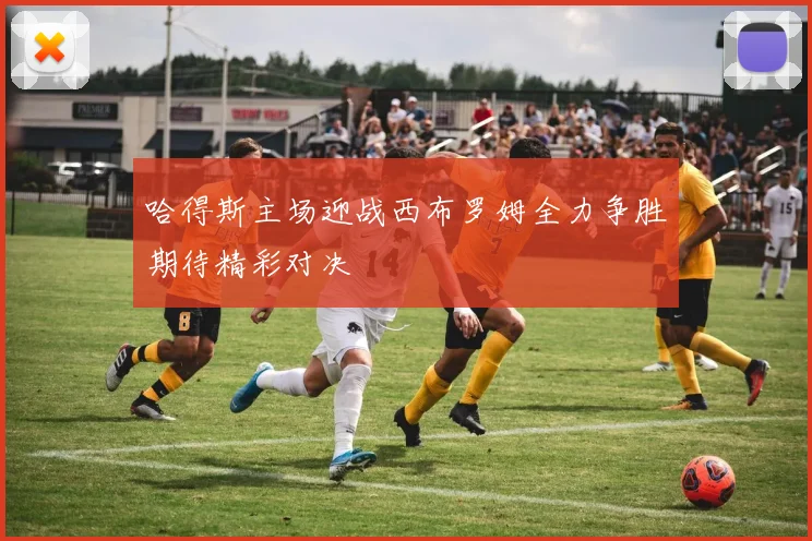 哈得斯主场迎战西布罗姆全力争胜期待精彩对决